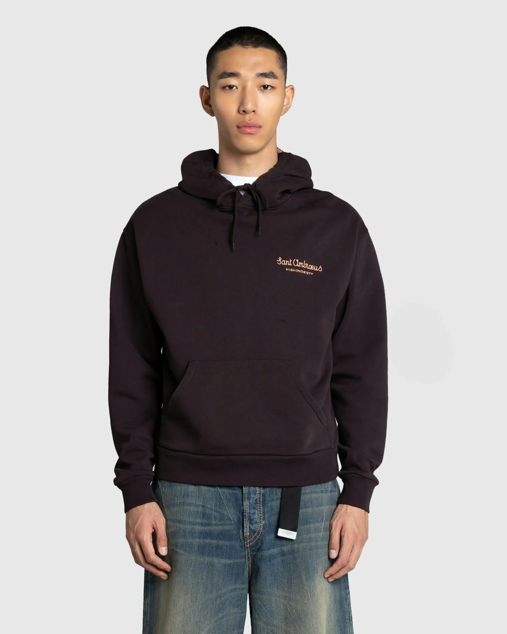 Cheap Sant Ambroeus Logo Hoodie Brown darkbrown