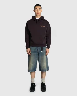 Cheap Sant Ambroeus Logo Hoodie Brown darkbrown