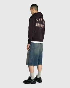 Cheap Sant Ambroeus Logo Hoodie Brown darkbrown