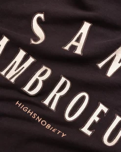 Cheap Sant Ambroeus Logo Hoodie Brown darkbrown