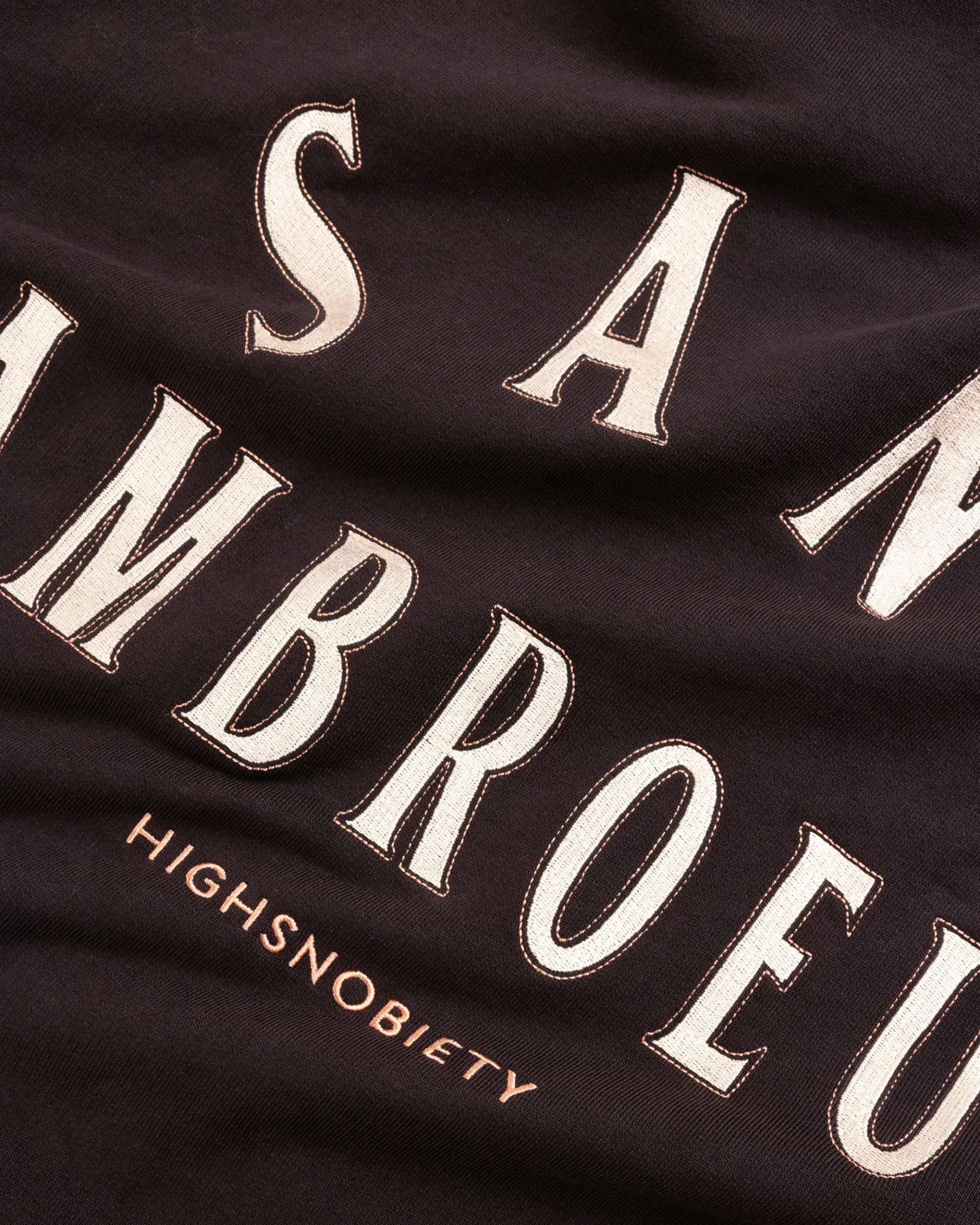 Cheap Sant Ambroeus Logo Hoodie Brown darkbrown