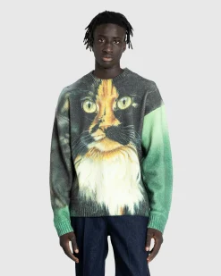 Discount J.W. Anderson Printed Sweater emerald