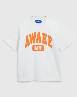 Cheap Awake NY Varsity Tee Charcoal Heather charcoalheather